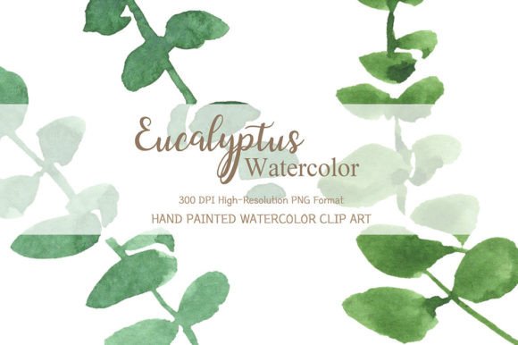 Download Eucalyptus Watercolor Clipart - Watercolor Collection