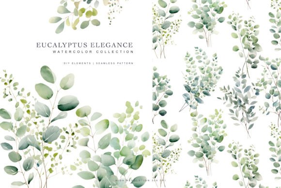 Download Watercolor Eucalyptus Clipart - Watercolor Collection