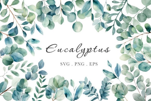 Download Eucalyptus Watercolor Bundle PNG SVG EPS - Watercolor Collection