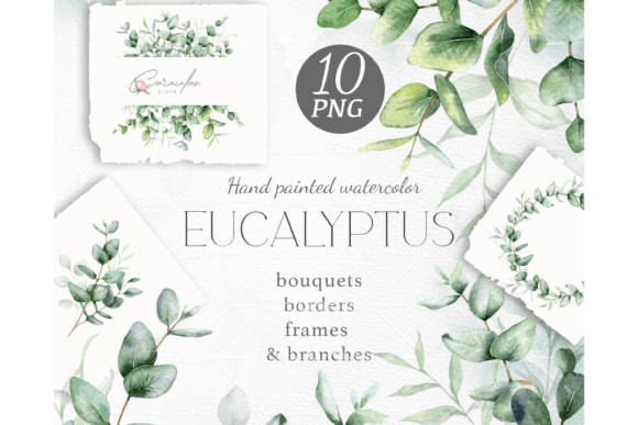 Download Eucalyptus Watercolor Clipart - Watercolor Collection