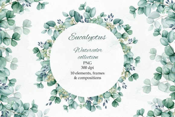 Download Eucalyptus. Watercolor Collection. PNG. - Watercolor Collection