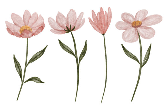 Download Watercolor Petal Cosmos Flower Element - Watercolor Collection