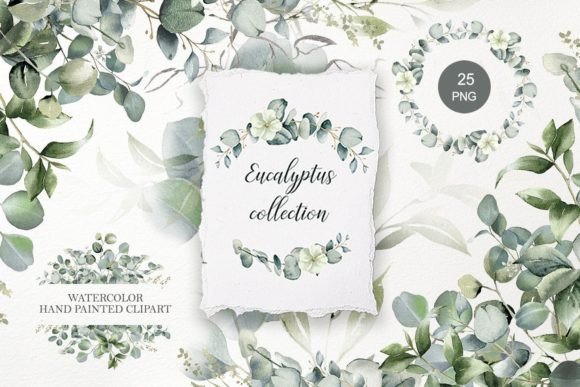 Download Eucalyptus Clipart. Watercolor Greenery - Watercolor Collection