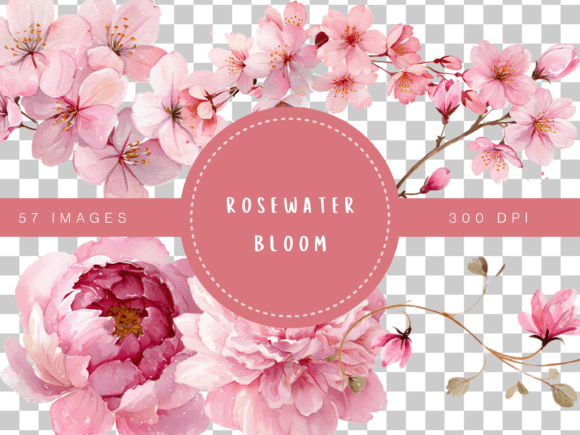 Download Rosewater Bloom Watercolor Floral Clipar - Watercolor Collection