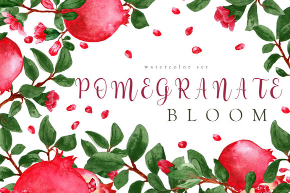 Download "Pomegranate Bloom" Watercolor Set - Watercolor Collection