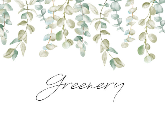 Download Watercolor Greenery Eucalyptus Clipart - Watercolor Collection