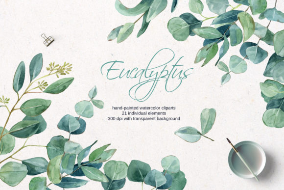 Download Watercolor Eucalyptus Clipart - Watercolor Collection