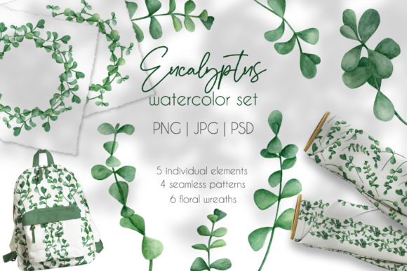 Download Eucalyptus Watercolor Clipart Collection - Watercolor Collection
