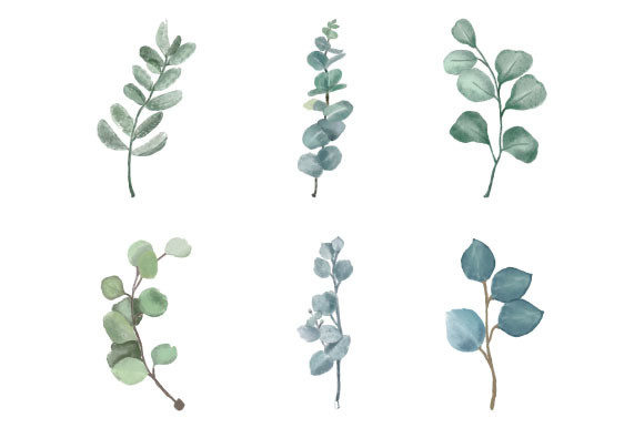 Download Watercolor Eucalyptus Clipart SVG PNG - Watercolor Collection