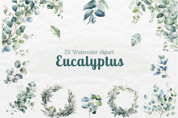 Download Eucalyptus Watercolor - Watercolor Collection