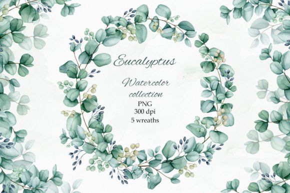 Download Eucalyptus. Watercolor Wreaths.PNG. - Watercolor Collection