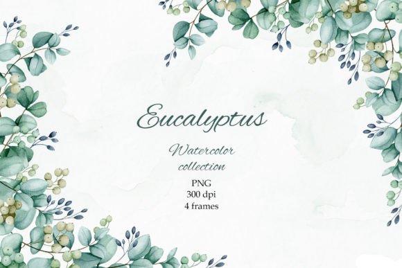 Download Eucalyptus. Watercolor Frames. PNG. - Watercolor Collection